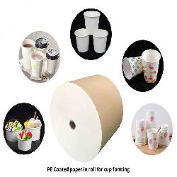 Cup Stock Paper in Rolls / Sheets for Disposable Cups